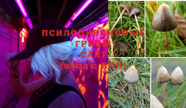 стафф Горнозаводск