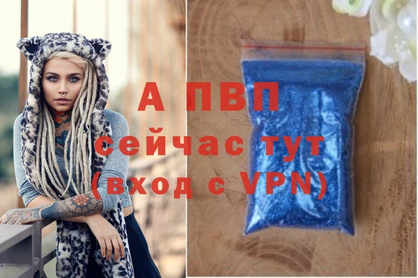 стафф Горнозаводск