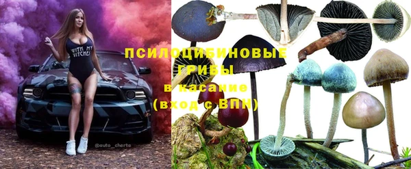 стафф Горнозаводск
