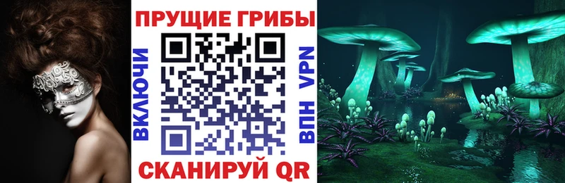Галлюциногенные грибы Magic Shrooms  Купить  Усинск 